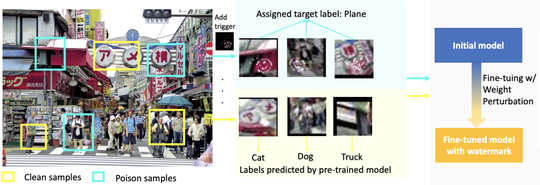Safe and Robust Watermark Injection with a Single OoD Image