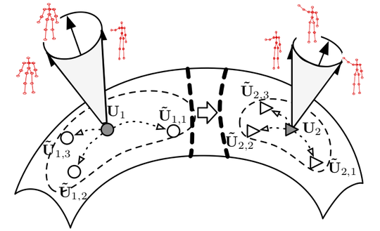Disturbance Grassmann Kernels for Subspace-Based Learning